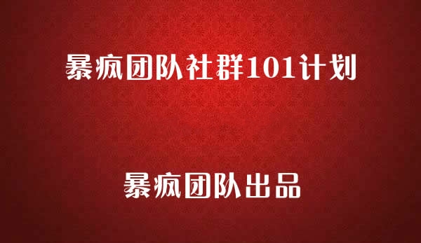 暴疯团队VIP-暴疯团队社群101计划
