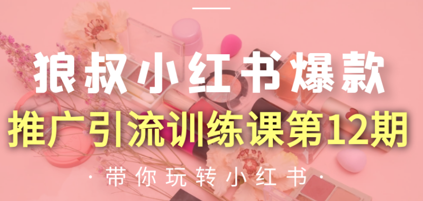 狼叔 小红书爆款推广引流训练营12期