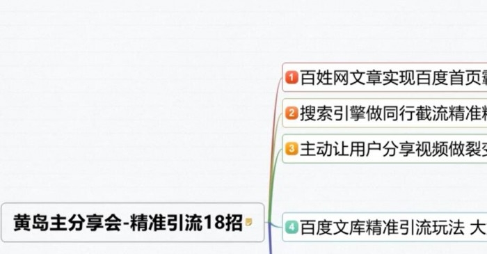 黄岛主：最新引流课程，百度文库精准吸粉大解析