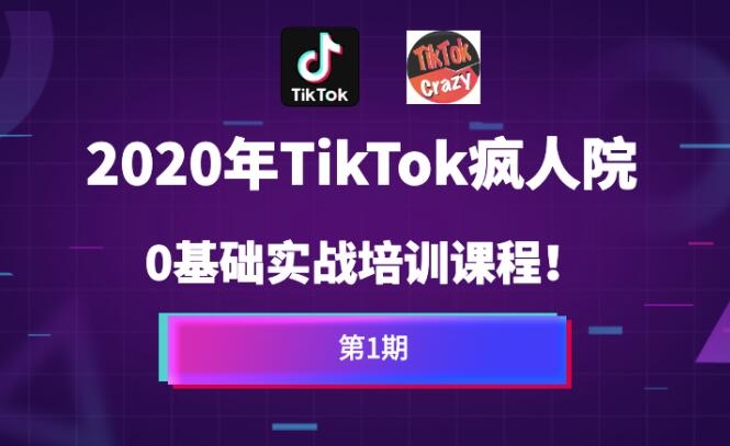 疯人院Tiktok海外版抖音零基础实战课程第1期