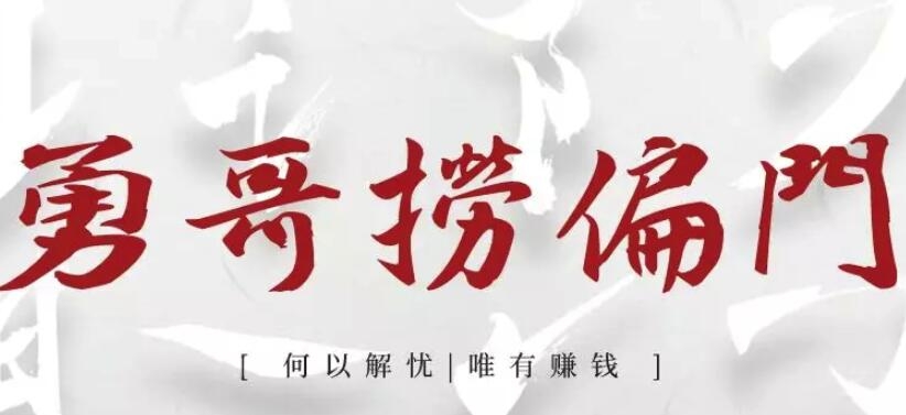 勇哥捞偏门VIP会员：独家脚本被动引流变现项目