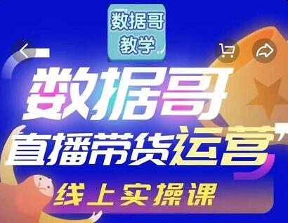 数据哥直播带货运营线上进阶课