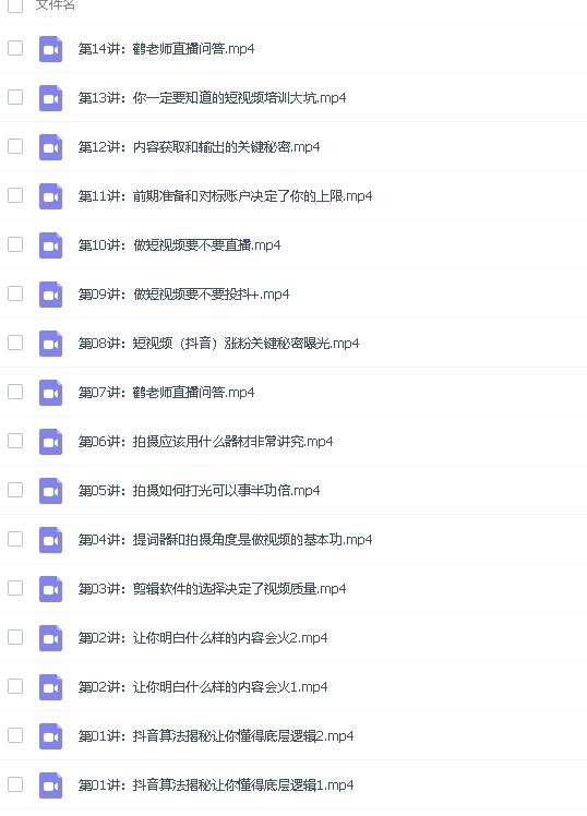 鹤老师：三天学会短视频-2