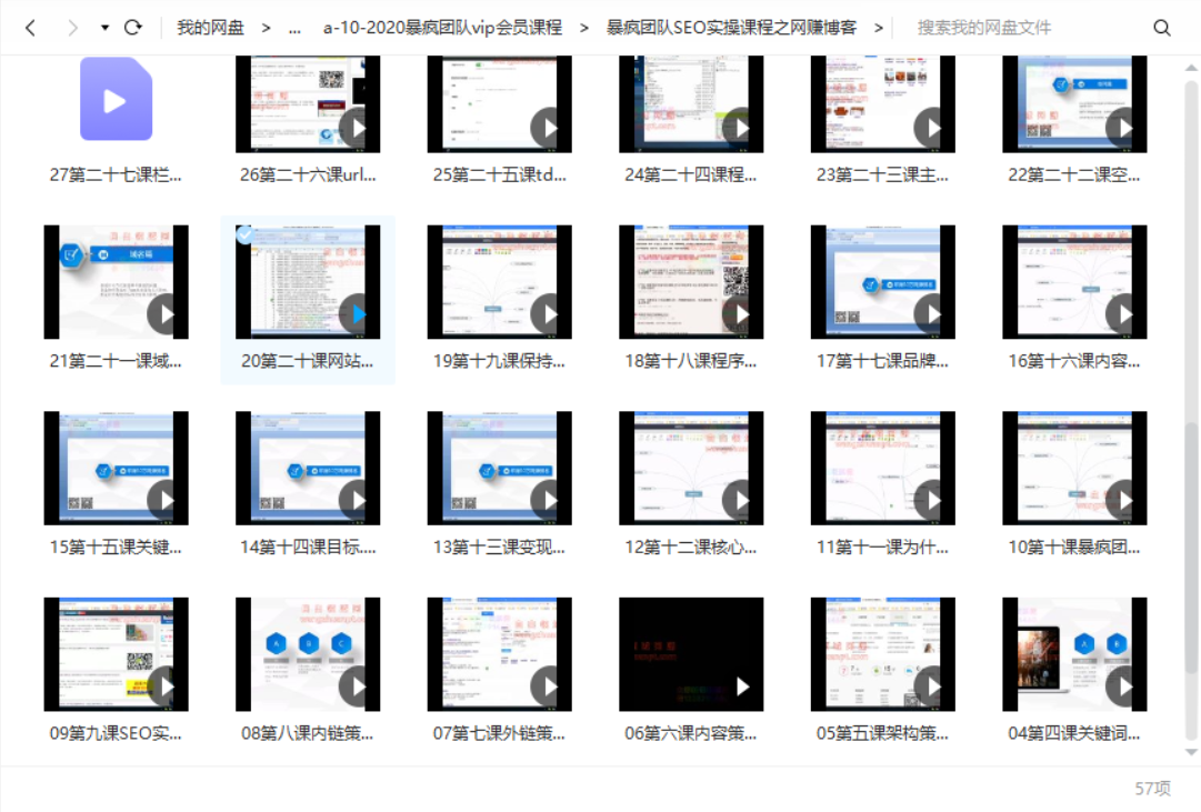 暴疯团队VIP-SEO实操课程网赚博客