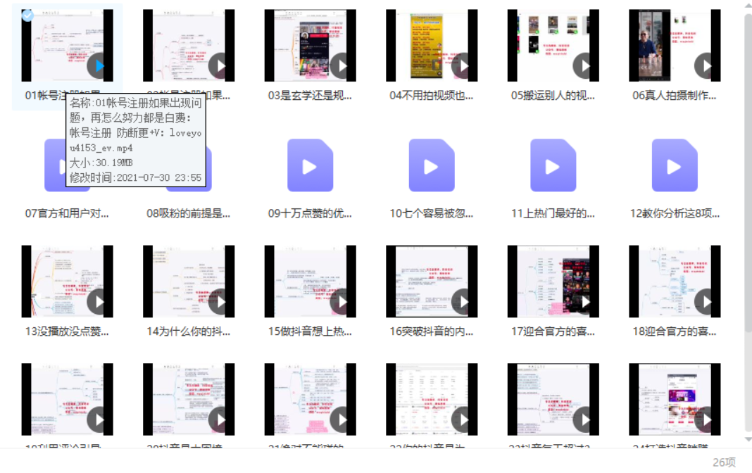 聚蚁思维：抖音实操课，教你做一个百分百赚钱的抖音号，新手也可以单日收入1000+