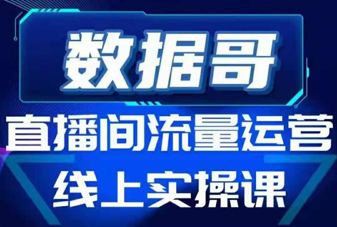 数据哥：直播间流量运营实操课