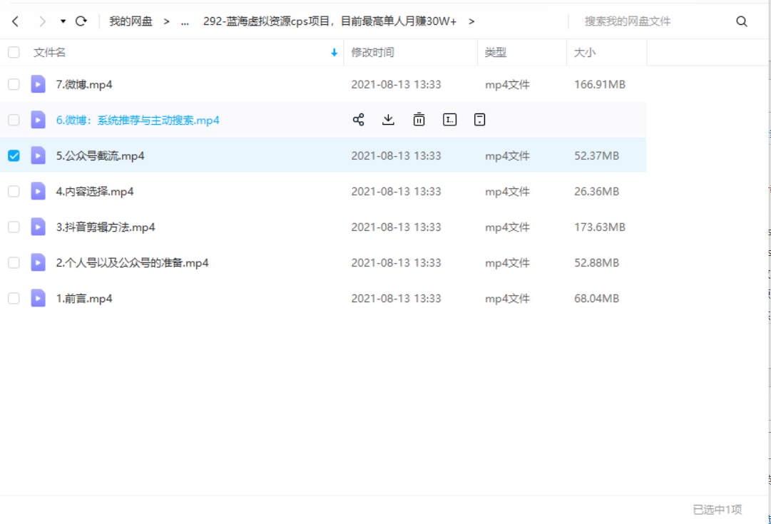 蓝海虚拟资源cps项目，目前最高单人月赚30W+-1