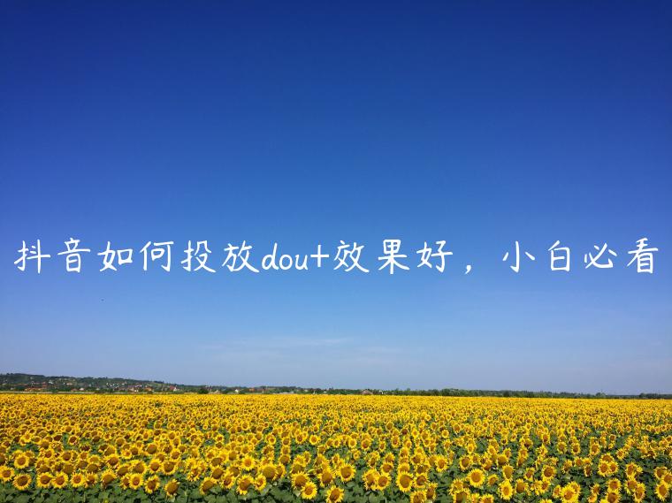 1721826565-46fa22f3e9323ae