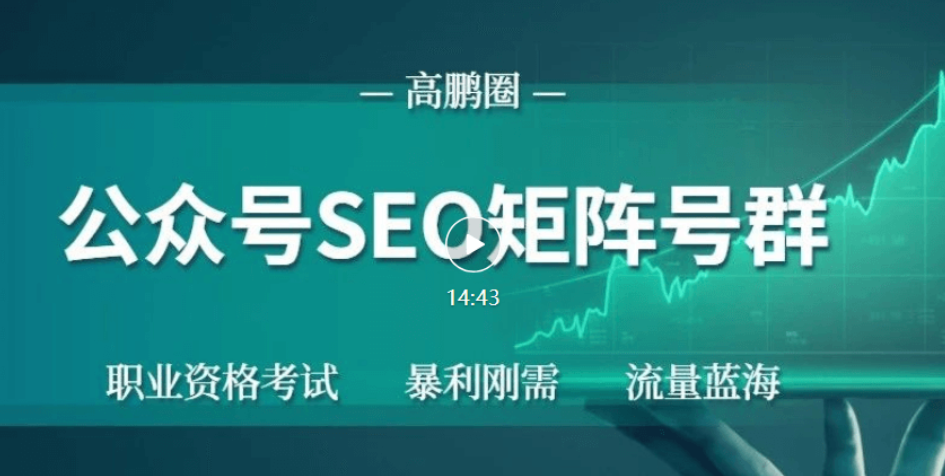 高鹏圈：公众号SEO矩阵项目-百度云-1