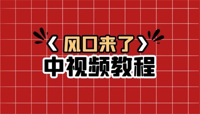 比高：中视频赚钱项目教程-靠这个项目养11个人团队-1