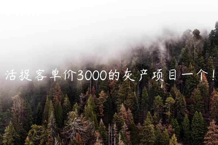 1721227954-a2facda5c47fa55