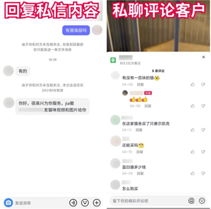 1721228702-019a547912eccf7