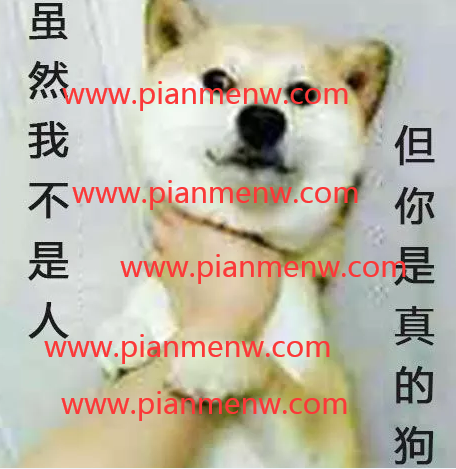 1721228780-8ffc720748941d8