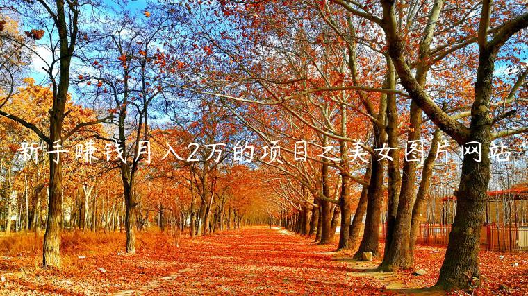 1721473899-18bc87d2784a0db
