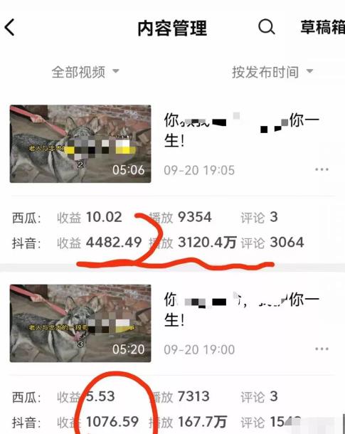 1721817446-12c39d7923bb3f7