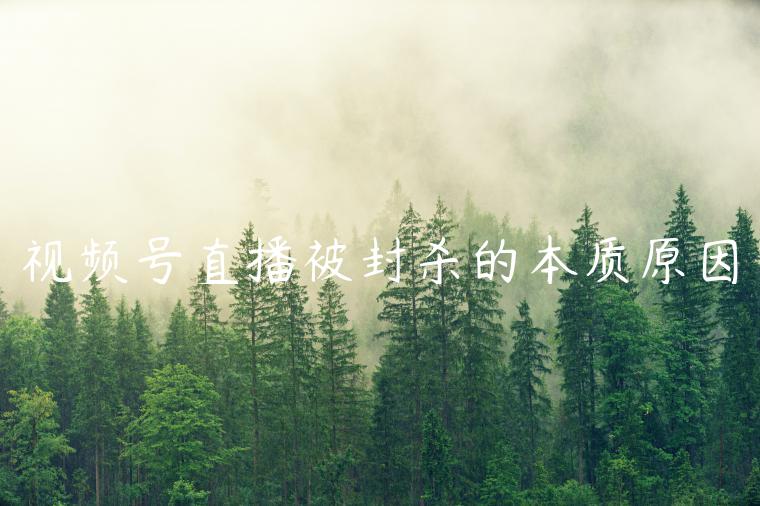 1721819036-aaef3745a4aed2e