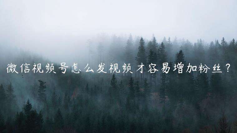1721821750-d44519513392ade
