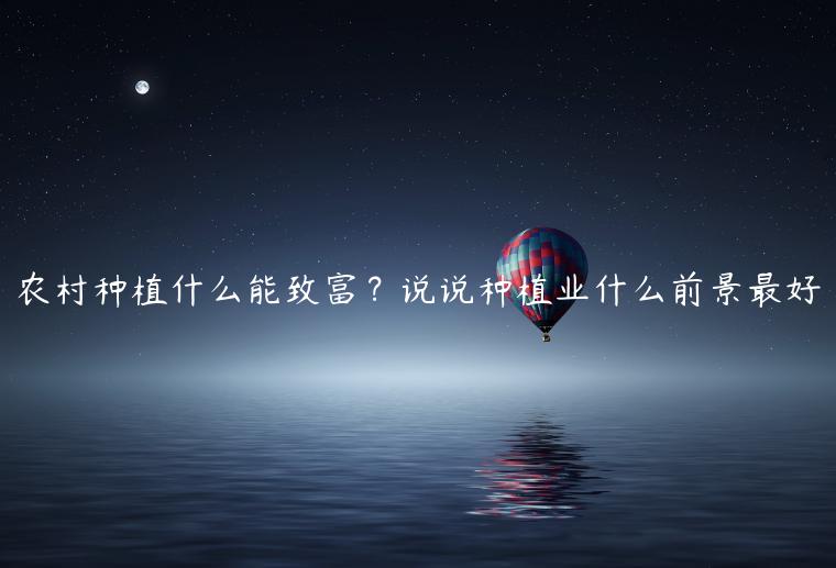 1721821762-c318623184e71d1