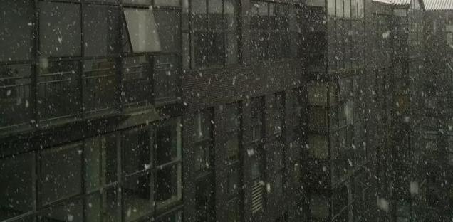 1721821801-175d23d8d38f817