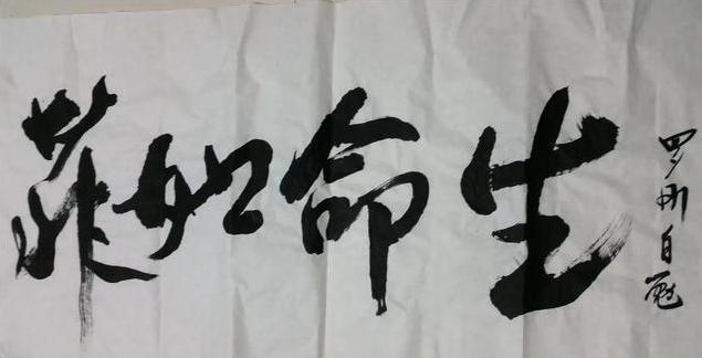 1721821953-523aa5e4ae86610