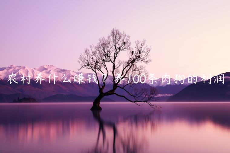 1721822079-e4e4e6965802b10