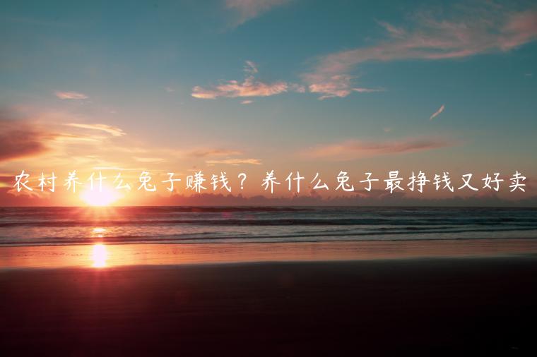 1721823058-87228ee91ffdf71