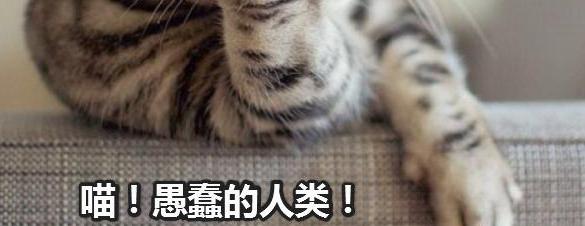 1721823060-cdc1278ffe8cbb8
