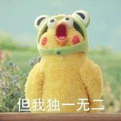 1721823296-1e463ff57f7ccb6