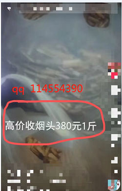 1721824435-f10e0ec0de6d0a7