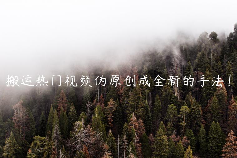 1721824602-0dbe67c5ac1c10b