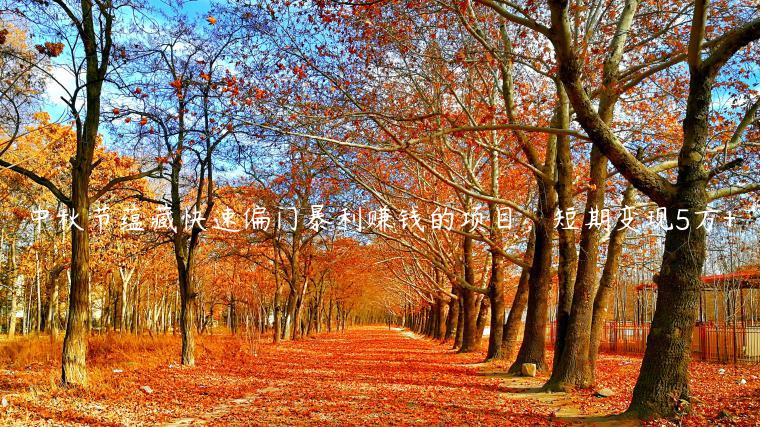 1721482038-3a749305a901cd7