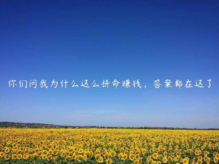 1721482238-f5cfc0ca18f5c99