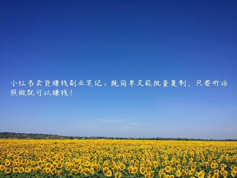 1721480530-dd2f36b6bd0a508
