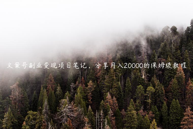 1721480567-fd22ede6f41e3cd
