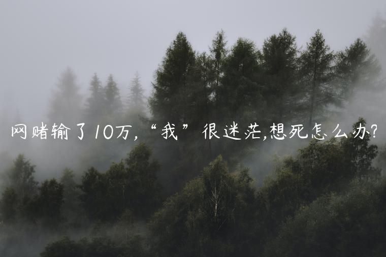 1721480733-6b51a64160a8076