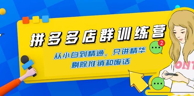 【网赚上新】088.拼多多店群训练营 1
