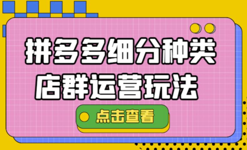 101.拼多多细分店群 1