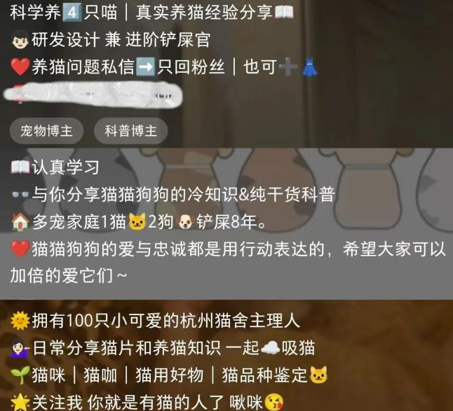 1721390519-9ea20b9d0646ff1